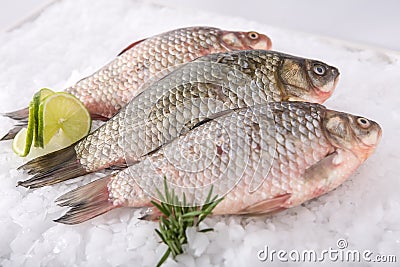 Fish fresh Stock Photo