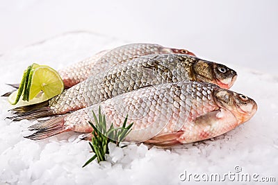 Fish fresh Stock Photo