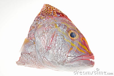 Fish Head Stock Photo
