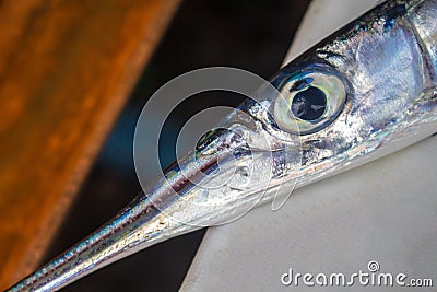 Fish head on white background. Sea fish Flute closeup. Narrow long fish head. Stock Photo