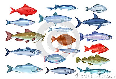 Fish icons, seafood Vector Illustration