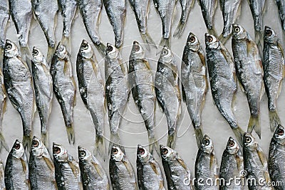 Fish, known as Ukleika Alburnus alburnus, salted dries in rows. Pattern fish Stock Photo