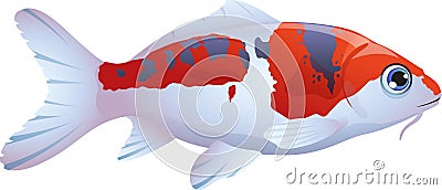 Fish koi Vector Illustration