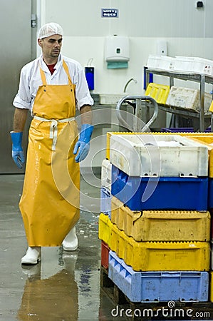 Fish manufacture worker Stock Photo