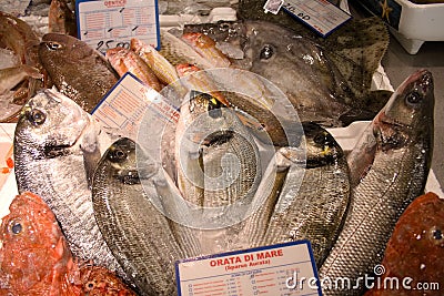 Fish market with fresh various fishes Stock Photo