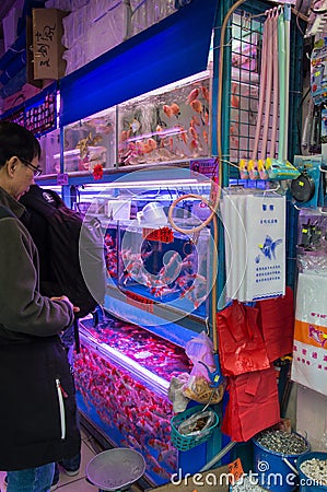 Fish market in Hong Kong, China Editorial Stock Photo