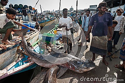 Fish market in Yemen Editorial Stock Photo