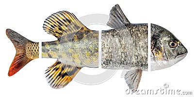 Fish mosaic isolated on white background Stock Photo
