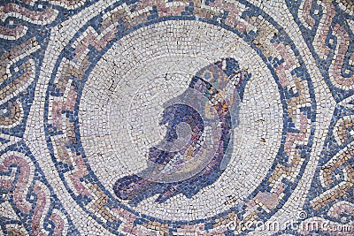 Fish mosaic. Merida, Spain Editorial Stock Photo