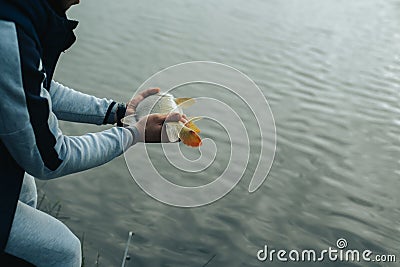 Fish in the net caught on the shore. Fish on a fishing trip caught on a spring. The fisherman releases the fish into the lake Stock Photo