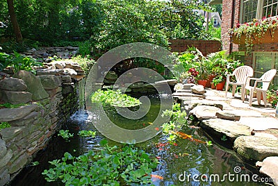 Fish pond Stock Photo