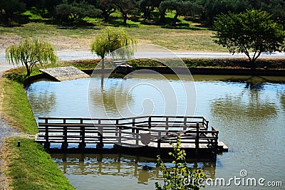 Fish pond Stock Photo