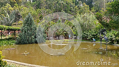 Fish pond fountain Stock Photo