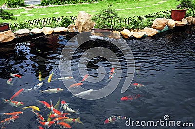 A fish pond in garden Stock Photo