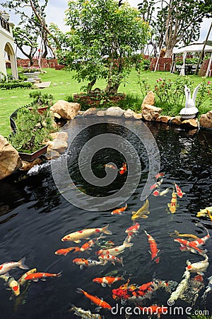 A fish pond in garden Stock Photo