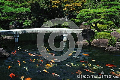 Fish Pond at Japanese Garden Stock Photo
