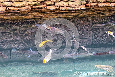 fish pond with relief walls in the Penataran temple complex. Editorial Stock Photo