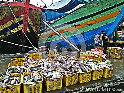 Fish port Editorial Stock Photo