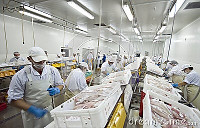 Fish processing factory Stock Photo