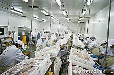 Fish processing factory Stock Photo