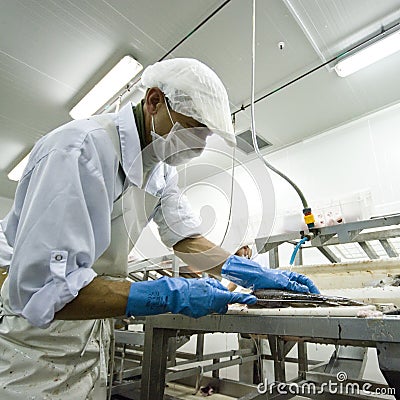 Fish processing manufacture Stock Photo