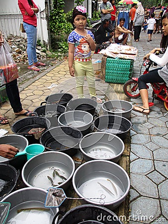 Fish Editorial Stock Photo