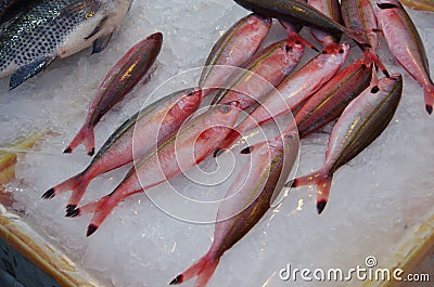 Fish for sale Stock Photo