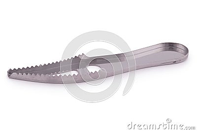 Fish scaler Clipping path Stock Photo