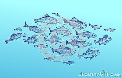 Fish school. Fishes group hand drawn sketch. Restaurant delicacy seafood menu dorado mackerel tuna fresh food design Vector Illustration