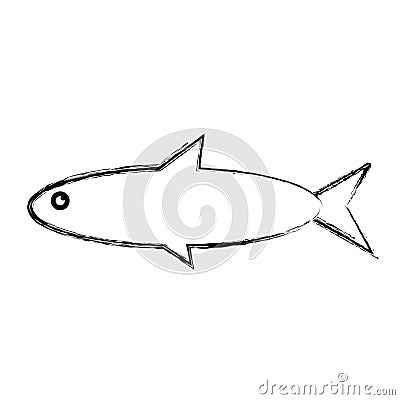 Fish sea animal Vector Illustration