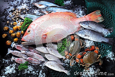 Fish and seafood Stock Photo