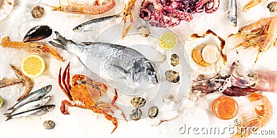 Fish and seafood panorama, an overhead flat lay shot of various fresh products Stock Photo