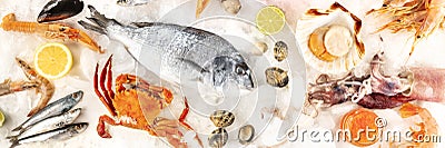 Fish and seafood panoramic top shot. Sea bream, crab, sardines, scallops etc Stock Photo
