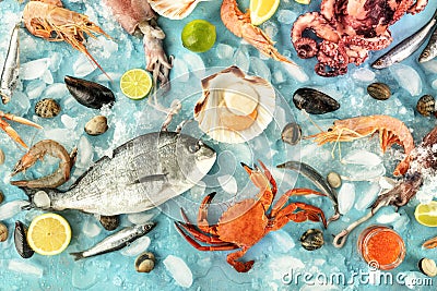 Fish and seafood variety, a flat lay top shot on a blue background Stock Photo