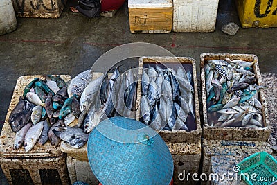 A fish sellers in the jimbaran bali fish market. He sells various types of fresh fish that have just been caught Stock Photo
