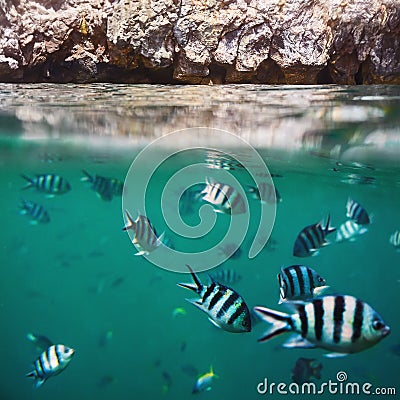 Fish shoal in the tropical ocean and rocks splitted by waterline Stock Photo