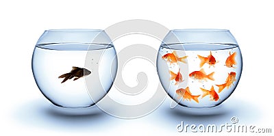 Fish in solitude - diversity concept, racism and isolation Stock Photo