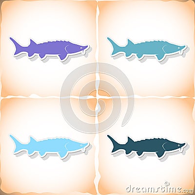 Fish sturgeon. Flat sticker with shadow on old paper Vector Illustration