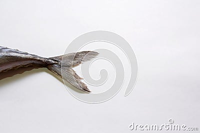 Fish tail Stock Photo