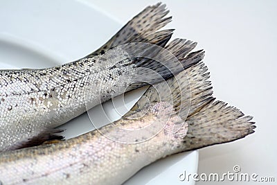 Fish Tails on a White Plate Stock Photo