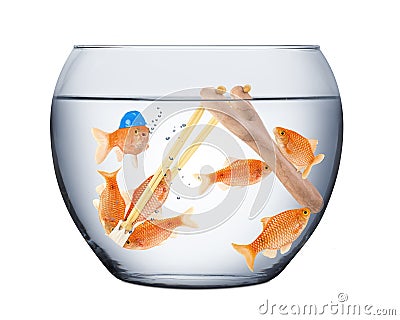 Fish teamwork concept Stock Photo