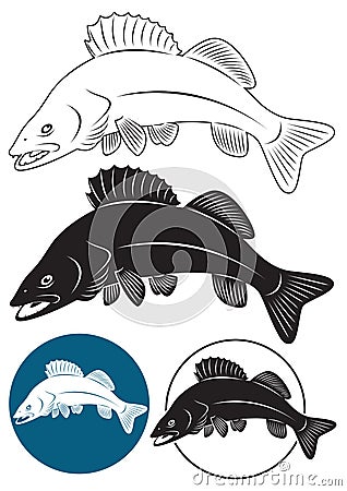 Fish walleye Vector Illustration