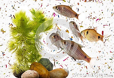 Fish in water contaminated with micro plastic Stock Photo