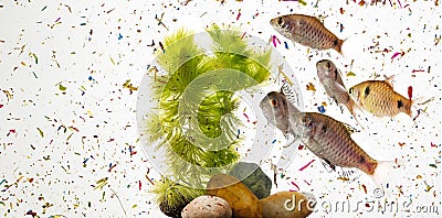 fish in water contaminated with micro plastic - global change Stock Photo