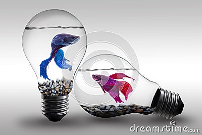 Fish in water inside an electric light bulb Concept and Idea background Stock Photo