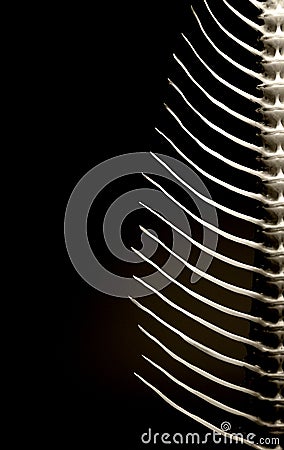 Fishbone background Stock Photo