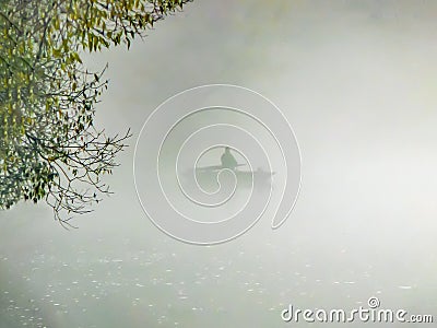 Fisherman boat fog green nature fishing silhouette Stock Photo