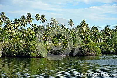 A fisherman in a boat on Lake Koggala Stock Photo