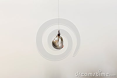 Fisherman caught a small fish on the hook with a worm Stock Photo