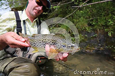 Fisherman holding brown trout Stock Photo